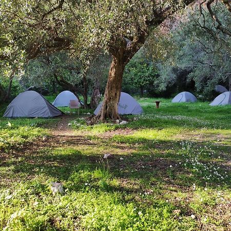 Gjipe Camping Vuno Exterior foto